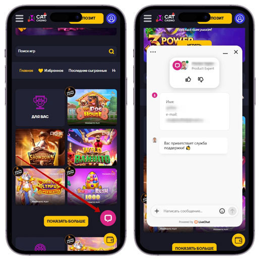 Обращение в службу поддержки