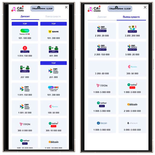 Платежные методы в Cat Casino